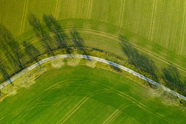 La vista aérea en una carretera de asfalto separó dos campos cultivados.