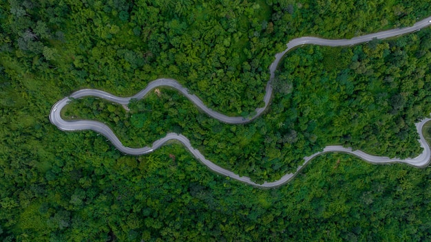 Vista aérea de la carretera en el bosque de montaña carretera de campo que pasa por el bosque verde