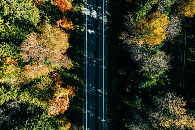 Foto vista aérea de la carretera en el bosque de otoño con hojas rojas y naranjas