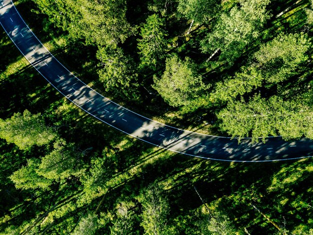 Vista aérea de una carretera en un bosque de pinos de verano verde en Finlandia