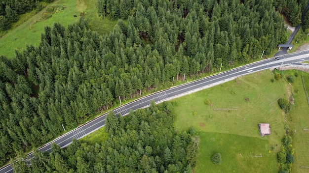 Vista aérea de la carretera en el bosque