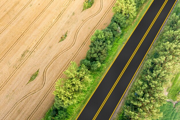 Vista aérea de una carretera entre campos de trigo amarillo y árboles verdes.