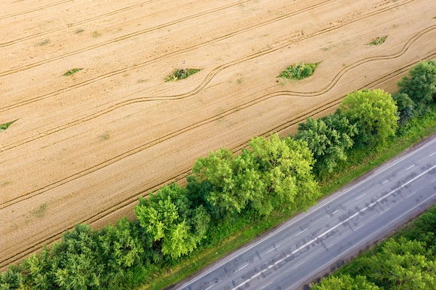 Vista aérea de una carretera entre campos de trigo amarillo y árboles verdes
