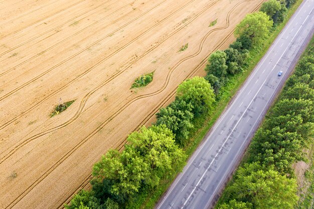 Vista aérea de una carretera entre campos de trigo amarillo y árboles verdes.