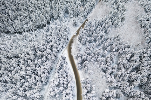 Vista aérea de la carretera con un coche blanco en el bosque de invierno con pinos altos o abetos cubiertos de nieve. Conducir en invierno.