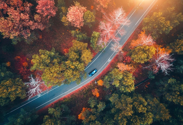 Vista aérea de la carretera con coche borrosa en bosque otoñal