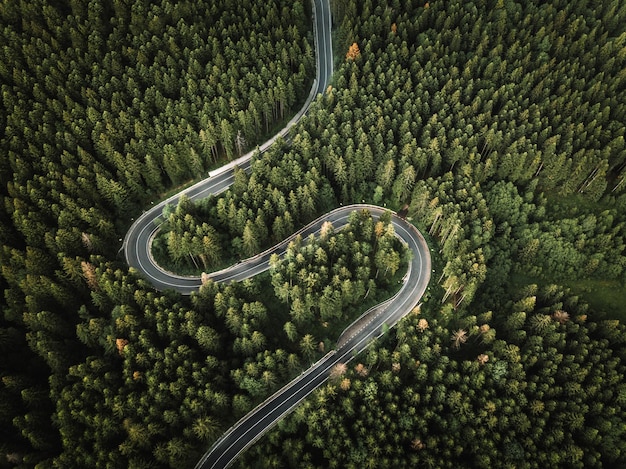 Vista aérea de una carretera curva desde arriba a través del concepto de transporte de viaje del bosque perenne
