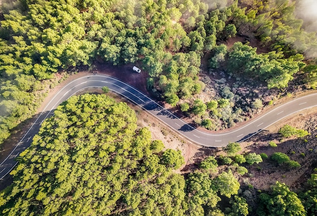 Foto vista aérea de la carretera dentro del bosque con árboles en el parque natural del teide en tenerife