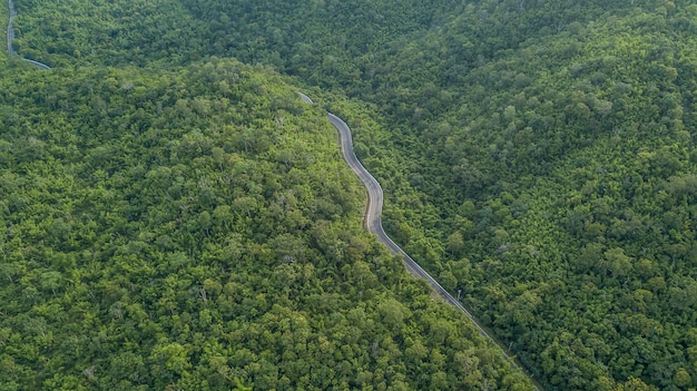 Vista aérea de la carretera forestal, Vista aérea de una carretera provincial