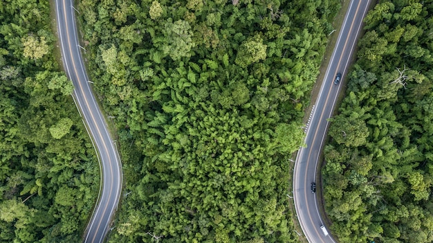 Vista aérea de la carretera forestal