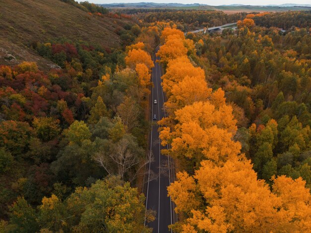 Vista aérea de la carretera en el hermoso bosque otoñal