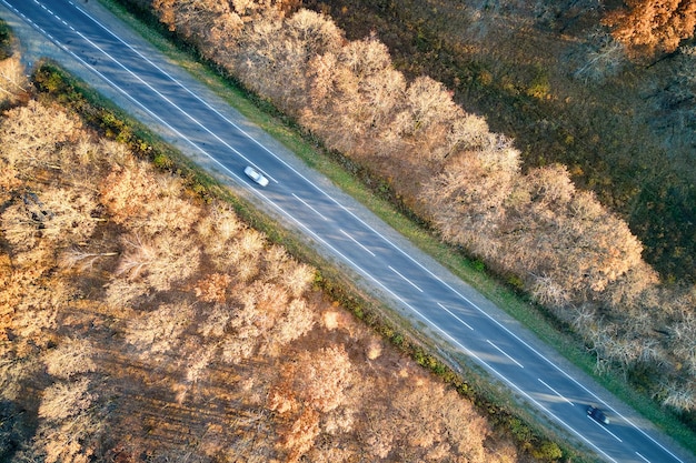 Vista aérea de la carretera interurbana con coches de conducción rápida entre los árboles del bosque de otoño al atardecer. Vista superior desde el dron del tráfico de la carretera por la noche