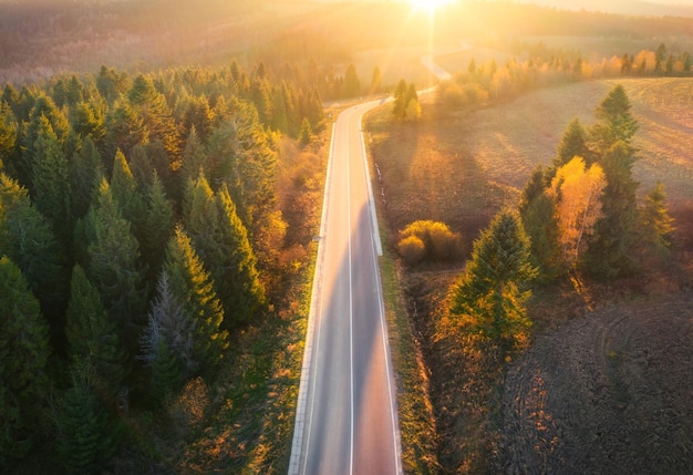 Vista aérea de la carretera de montaña en el bosque al atardecer en otoño Vista superior desde el dron de la carretera en el bosque Hermoso paisaje con carretera en colinas pinos verdes prados luz del sol dorada en otoño Viajes