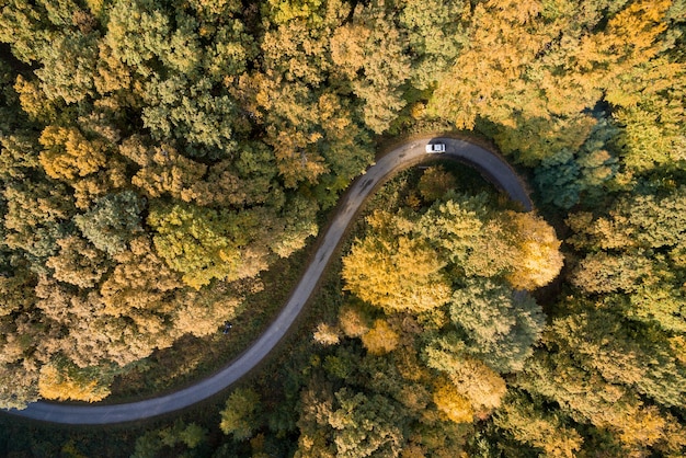 Vista aérea de una carretera de montaña en el bosque durante el otoño
