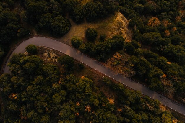 Vista aérea de la carretera de montaña.