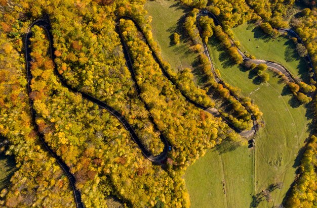 Vista aérea de la carretera sinuosa del bosque de otoño