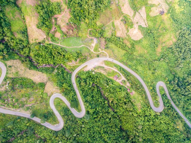 Foto vista aérea de una carretera sinuosa en medio de árboles en el bosque