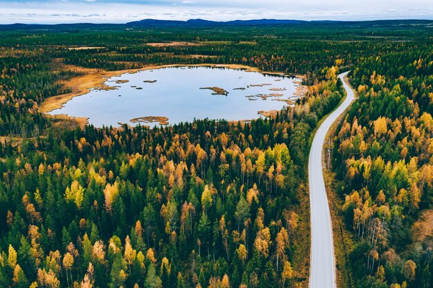 Vista aérea de la carretera sinuosa y el otoño dorado o el bosque otoñal en Finlandia