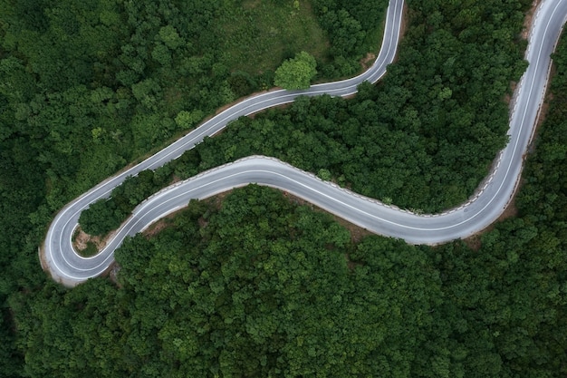 Vista aérea de una carretera sinuosa vacía que atraviesa un área densamente cubierta de árboles verdes