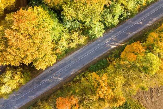 Vista aérea de la carretera vacía entre árboles amarillos.