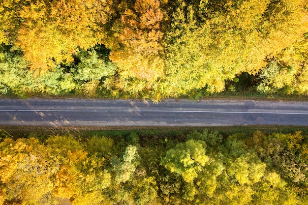 Vista aérea de la carretera vacía entre árboles de otoño amarillo.