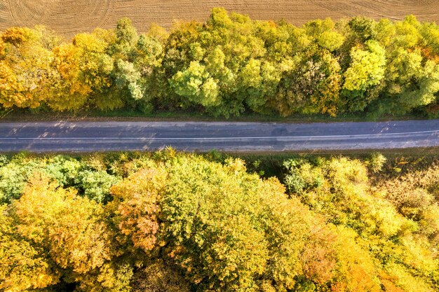 Vista aérea de la carretera vacía entre árboles de otoño amarillo