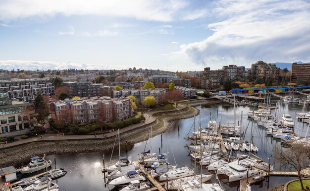 Vista aérea de casas residenciales barcos en Marina y paisaje urbano moderno