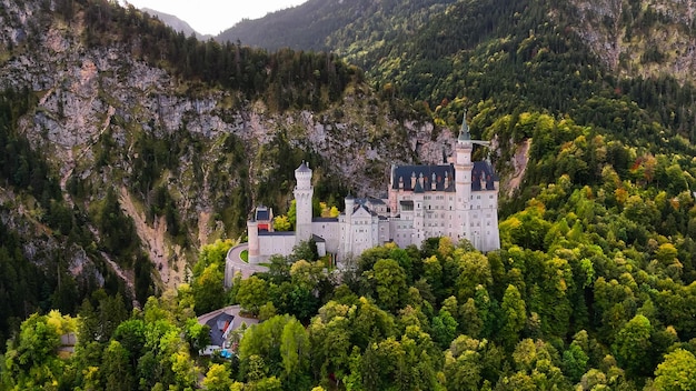 Vista aérea del castillo de Neuschwanstein en los Alpes en las cercanías de Múnich Baviera Alemania Europa Paisaje de otoño con castillo y lago en las montañas cubiertas de bosque de abetos