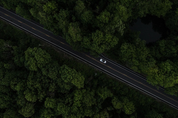 Vista aérea de un coche en la carretera en el bosque