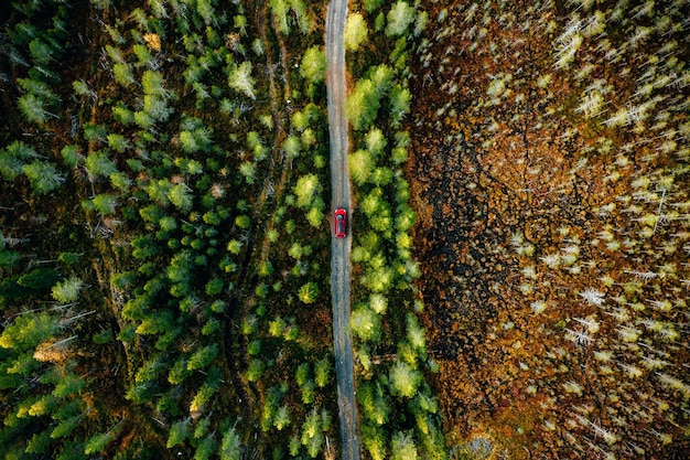 Vista aérea del coche rojo en una carretera rural en un bosque verde en Finlandia