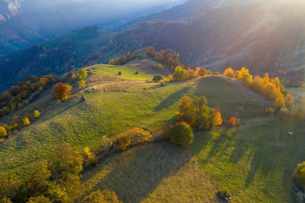 Vista aérea de las colinas y el bosque de otoño