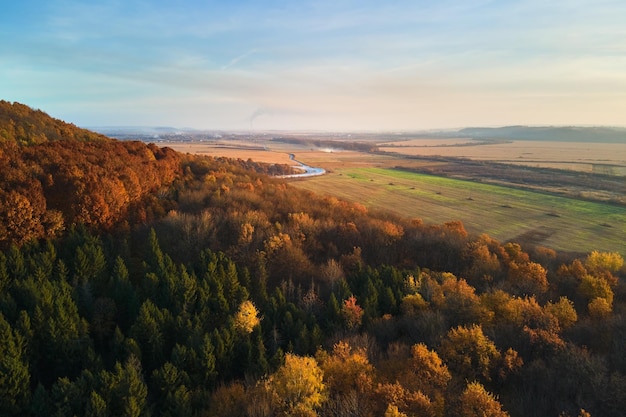 Vista aérea de colinas cubiertas de pino oscuro mixto y exuberante bosque con copas de árboles verdes y amarillos en bosques de montaña de otoño al atardecer Hermoso paisaje otoñal de la tarde