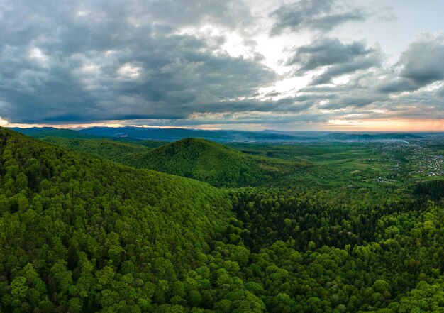 Vista aérea de las colinas de las montañas oscuras cubiertas de pinos verdes mixtos y bosques exuberantes por la noche