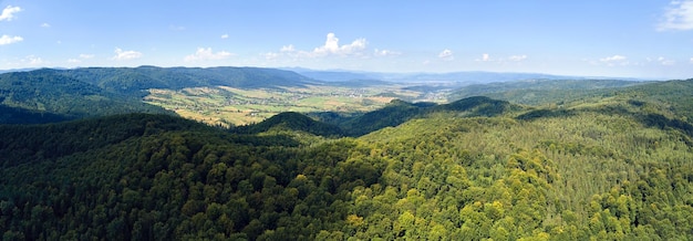 Vista aérea de las colinas montañosas cubiertas de densos bosques verdes y exuberantes en un brillante día de verano