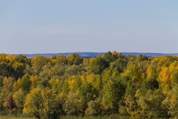 Vista aérea de coloridos árboles de otoño