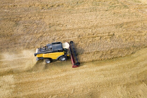 Vista aérea de la cosechadora cosechando gran campo de trigo maduro. Agricultura desde la vista del abejón.