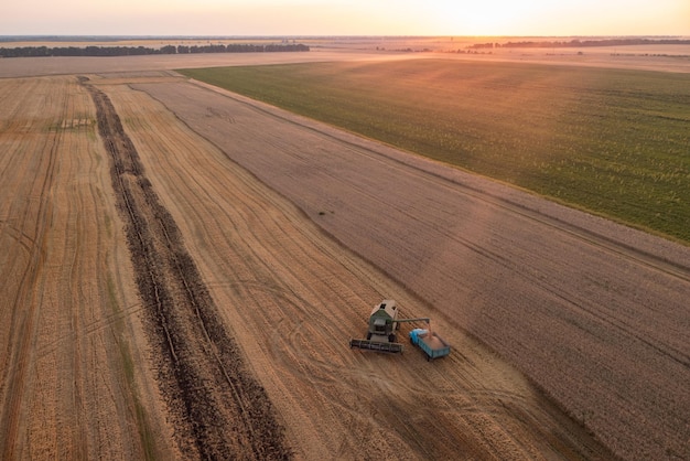 Vista aérea de la cosechadora que carga el grano al camión para transportar la cosecha al almacenamiento