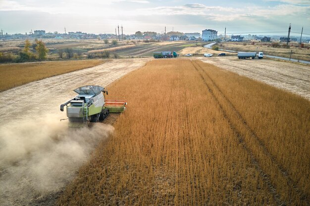 Vista aérea de la cosechadora que trabaja durante la temporada de cosecha en un gran campo de trigo maduro Concepto de agricultura