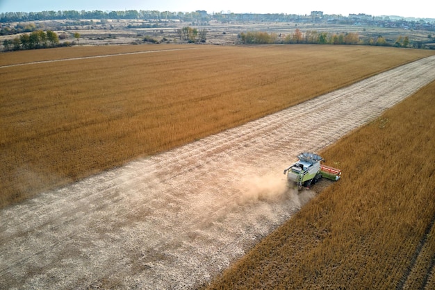 Vista aérea de la cosechadora que trabaja durante la temporada de cosecha en un gran campo de trigo maduro Concepto de agricultura