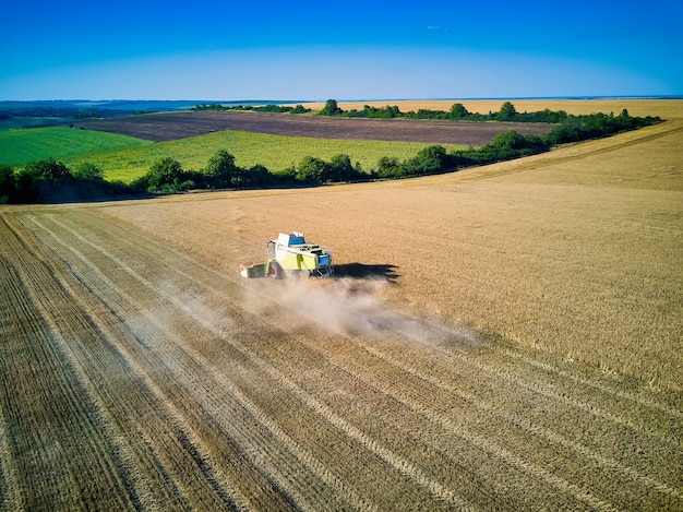 Vista aérea de la cosechadora recoge el trigo al atardecer. Campo de cosecha de grano, temporada de cosecha. Ver en la cosechadora en el campo parcialmente cosechado. Verano, Moldavia, Europa.