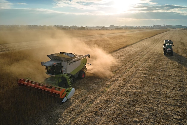 Vista aérea de la cosechadora y el remolque de carga que trabajan durante la temporada de cosecha en un gran campo de trigo maduro. Concepto de agricultura y transporte de grano crudo.