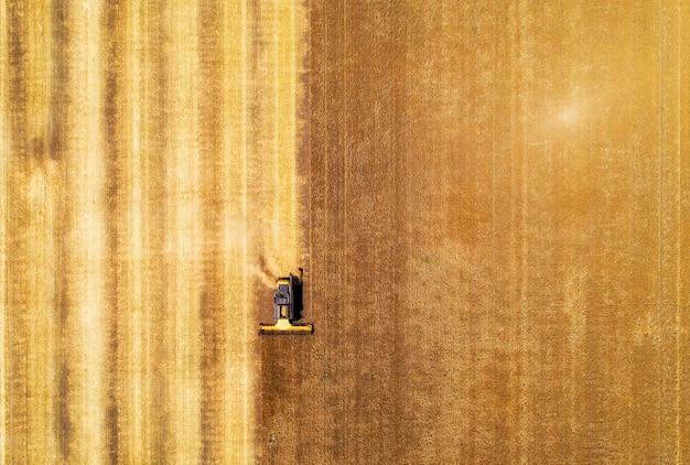 Vista aérea de la cosechadora de trigo maduro en el campo