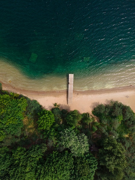 Vista aérea de la costa del lago con el muelle, la playa y el bosque