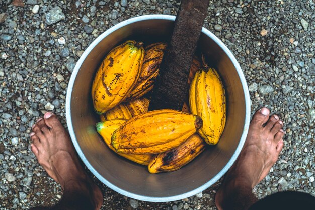 Foto vista aérea de un cubo con frutas de cacao maduras chocolate frutas de semilla