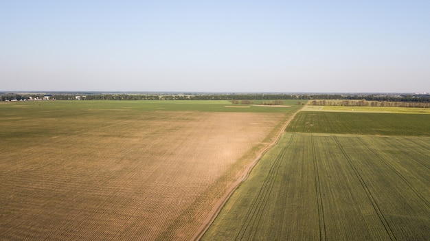 Vista aérea del cultivo.