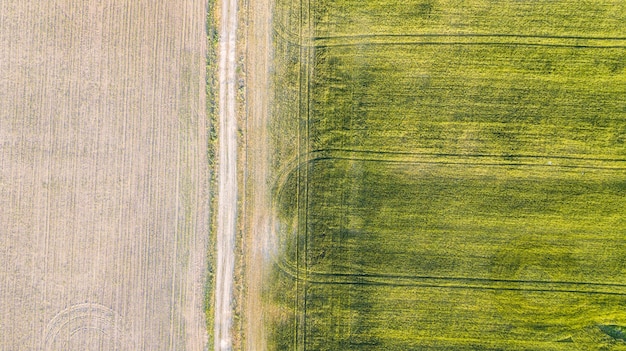 Vista aérea del cultivo.