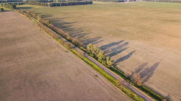 Vista aérea del cultivo.