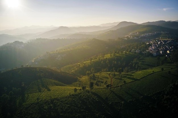 Foto vista aérea da bela plantação de chá ao pôr do sol nas montanhas nilgiris kerala sul da índia verde paisagem