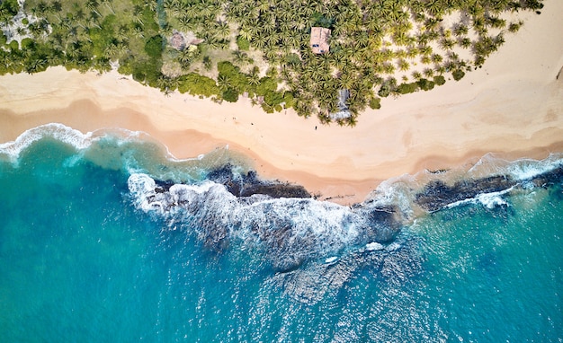 Vista aérea da costa sul da ilha do Sri Lanka