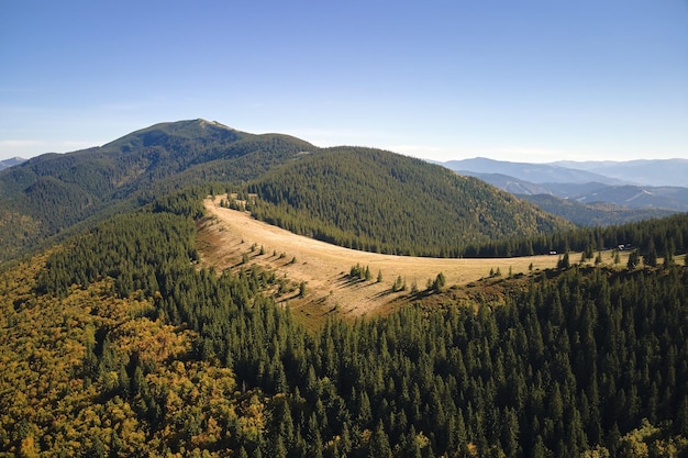 Vista aérea da encosta com árvores florestais de abetos escuros no dia brilhante do outono Belas paisagens da floresta de montanha selvagem